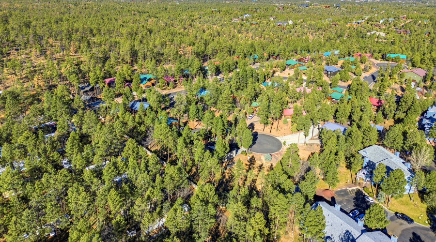 961ELaurenCt-ShowLow-AZ-30