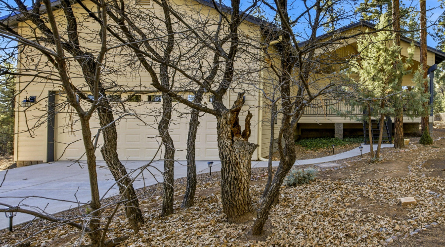 961ELaurenCt-ShowLow-AZ-3