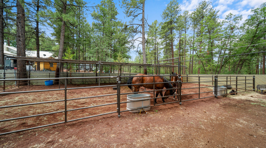 twinflameREmedia-34_(2048)