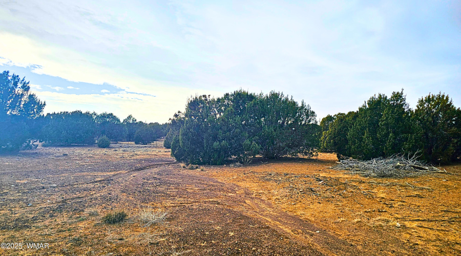 6e570108-da33-44cc-8f26-f027a83f56e0