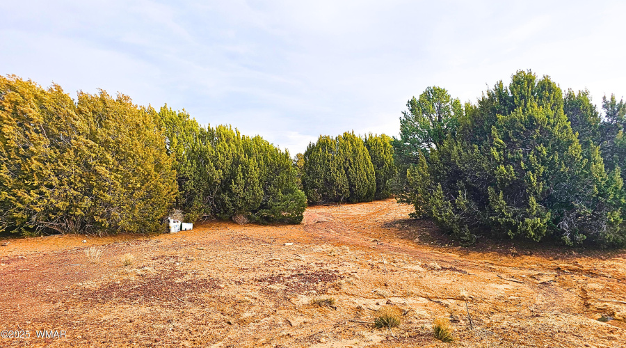 52aa7782-5411-402c-9d4d-1a29e6589155