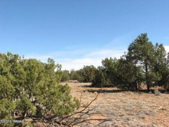 Lot 21 Chevelon Retreat #1, Heber, Arizona 85928, ,Land,For Sale,Chevelon Retreat #1,93233