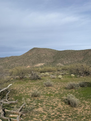 004R Bouquet Ranch Road, Tonto Basin, Arizona 85553, ,Land,For Sale,Bouquet Ranch,93238