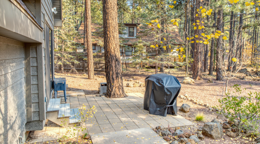 Paxmanphoto_IMG_9397