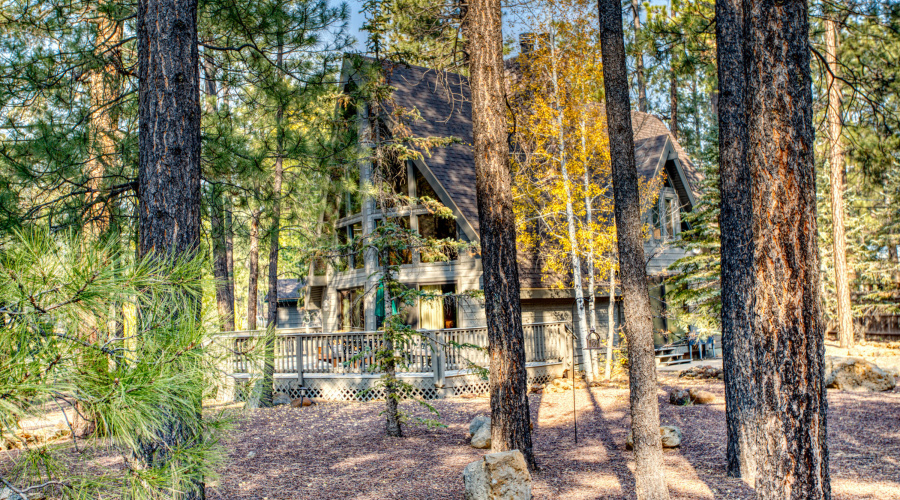 Paxmanphoto_IMG_9452