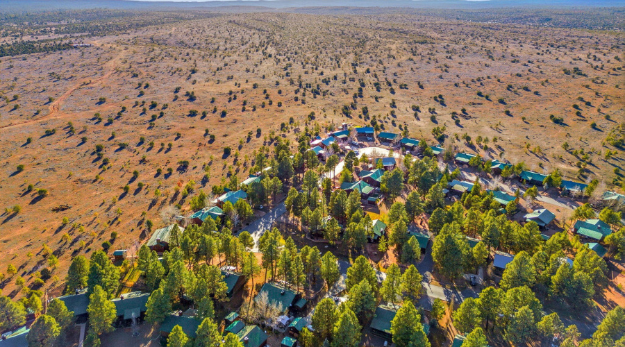 AERIAL VIEW OF COMMUNITY