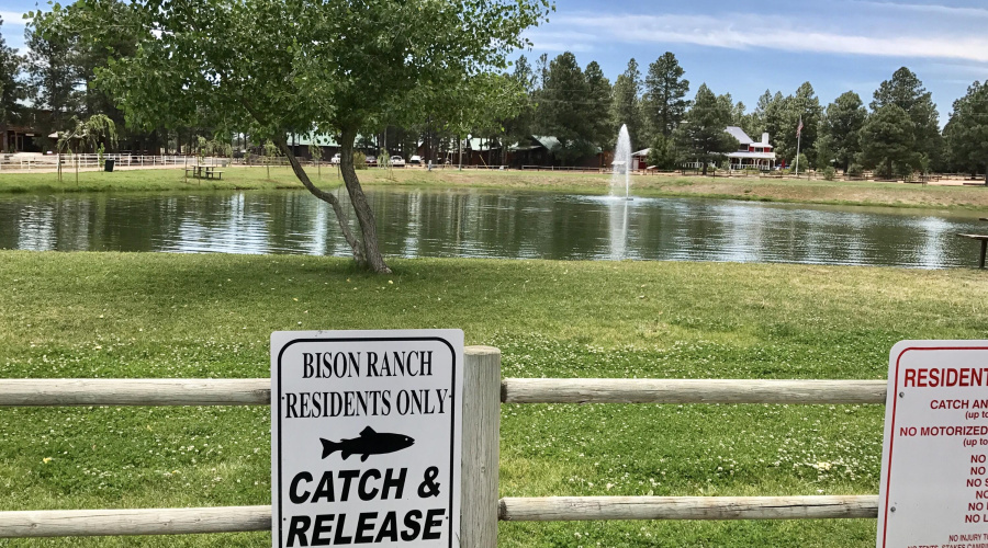 CATCH AND RELEASE FISHING POND