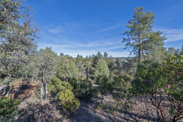 621 Grapevine Drive, Payson, Arizona 85541, ,Land,For Sale,Grapevine,93244
