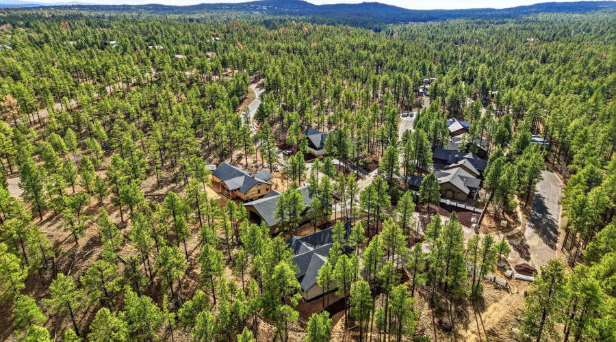 2400WBenchRd-ShowLow-AZ-34