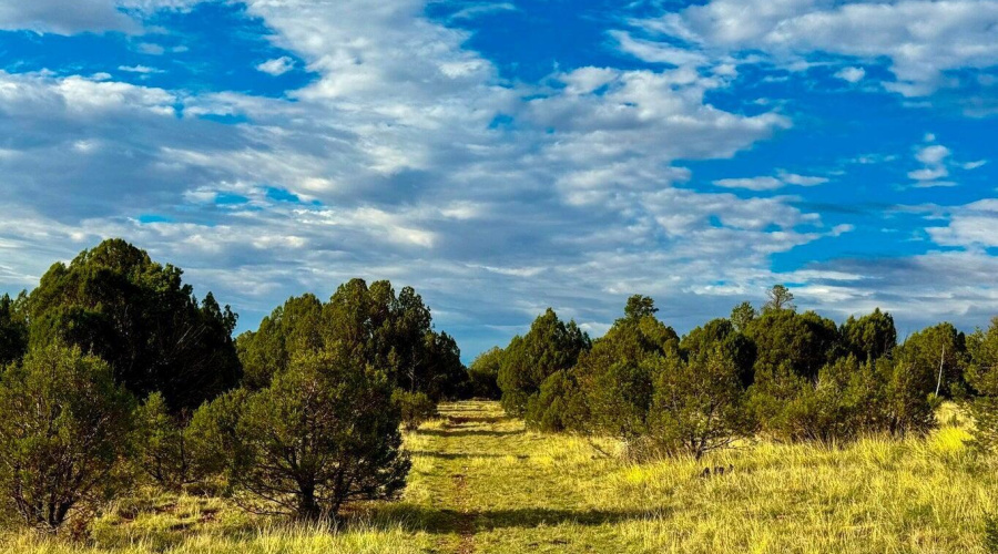 20250723060146724708000000-o