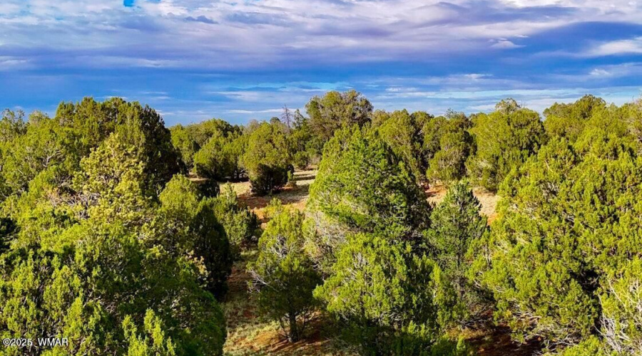 20250723060546301869000000-o