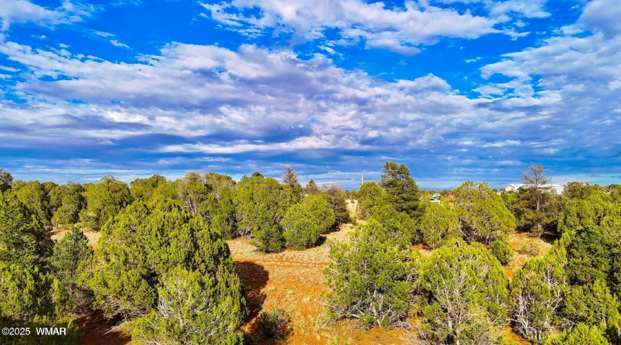 20250723060626698558000000-o