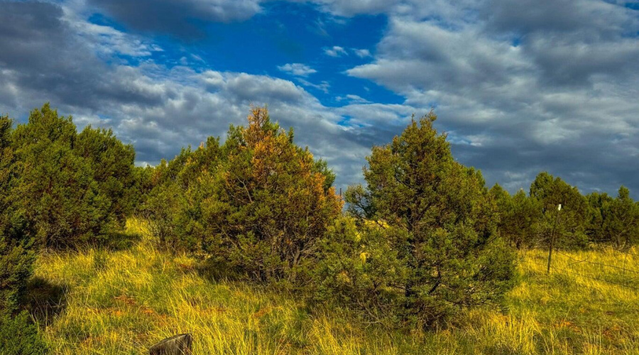 20250723062331298200000000-o