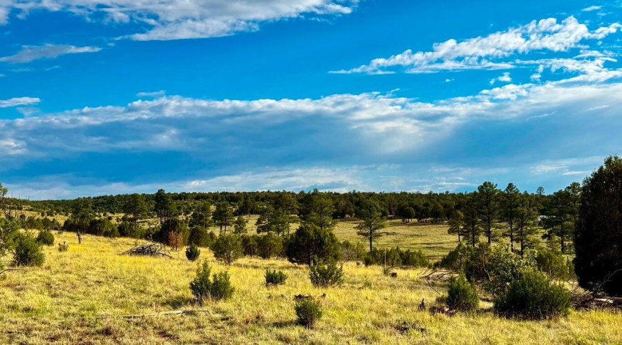 20250723060409262874000000-o