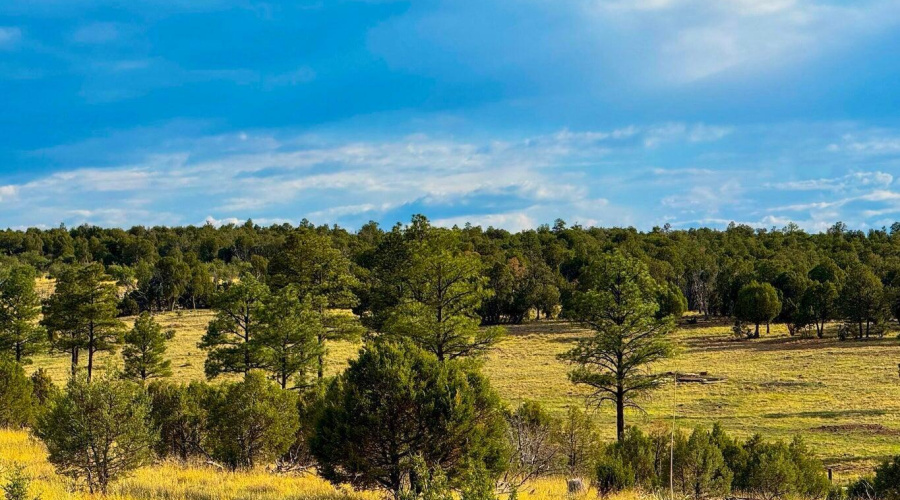 20250723060436030062000000-o