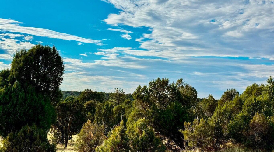 20250723060025145498000000-o