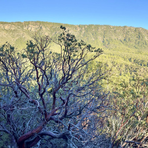 132 N Knob Hill - Panographic views