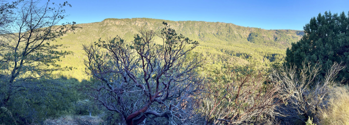 132 Knob Hill, Pine, Arizona 85544, ,Land,For Sale,Knob Hill,92392