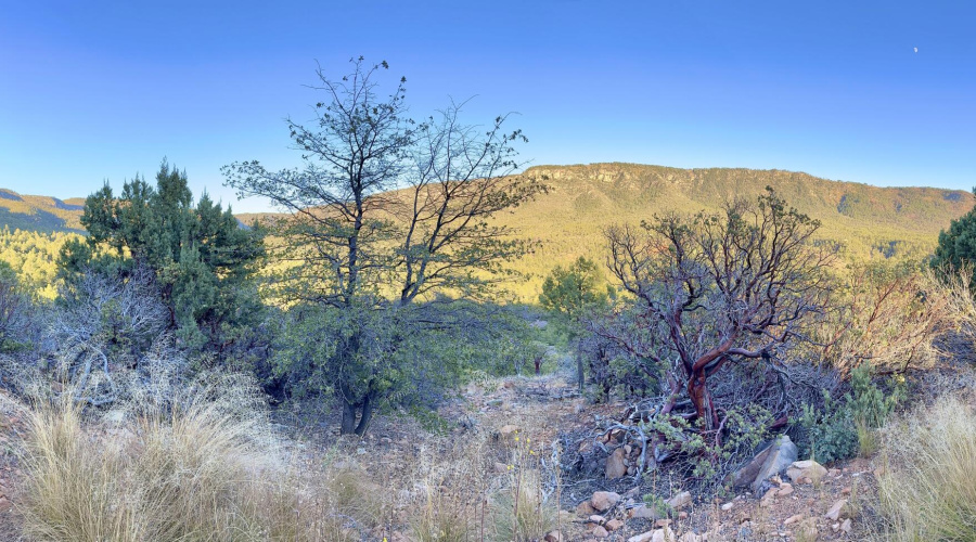 132 N Knob Hill - Panographic views