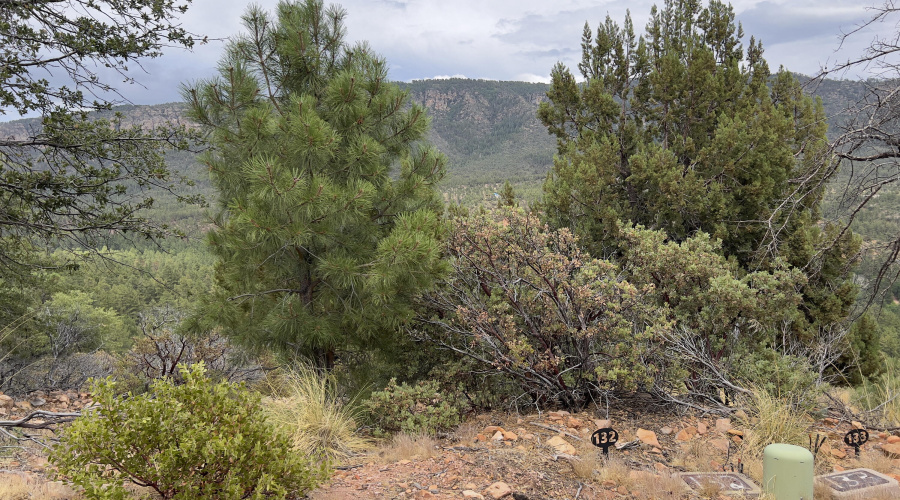 132 N Knob Hill - views