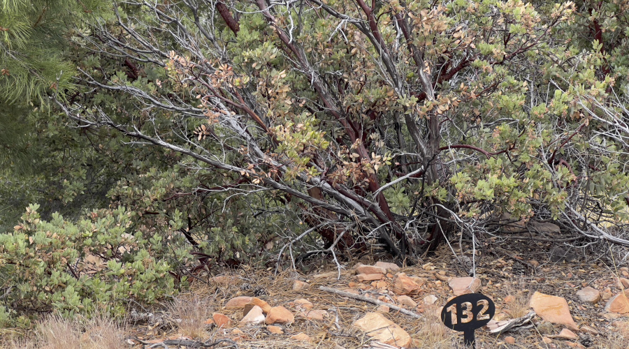 132 N Knob Hill - lot 132