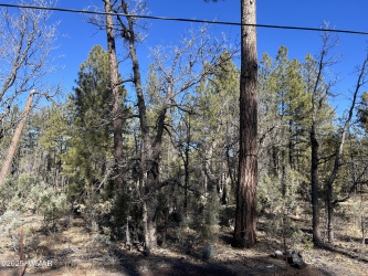 TBD- R Hilltop, Lakeside, Arizona 85929, ,Land,For Sale,Hilltop,259018