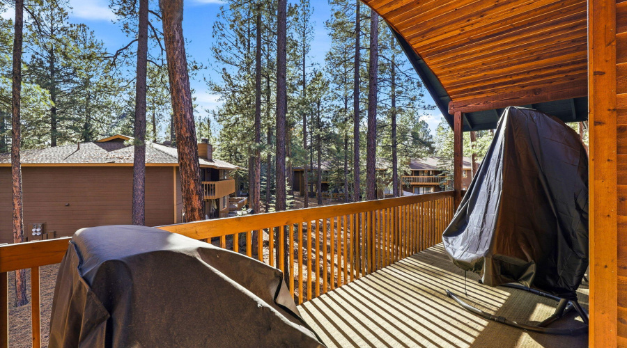 Back Covered Deck off Living Room