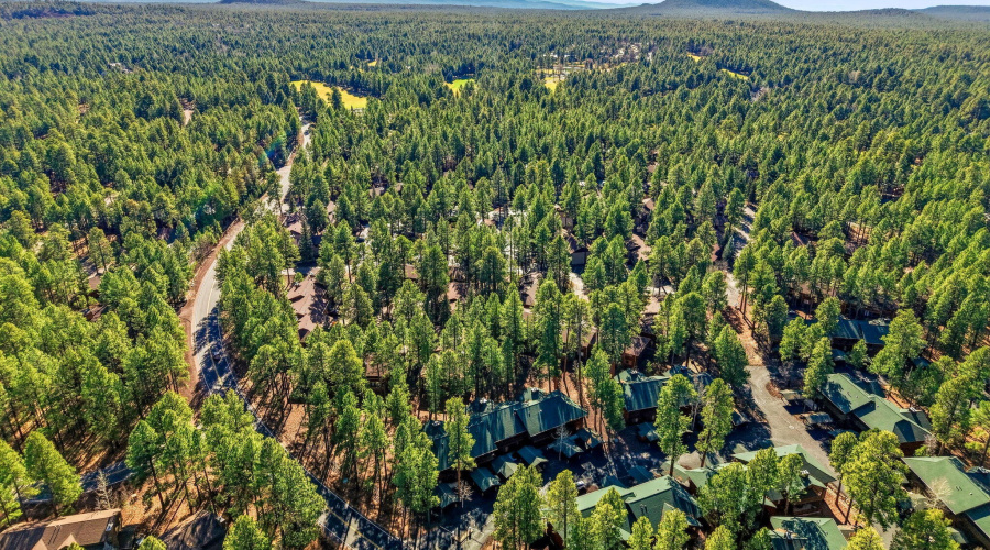 Aerial View of Townhome Community