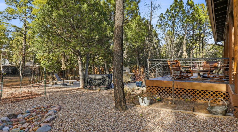 400NMadronLn-ShowLow-AZ-34