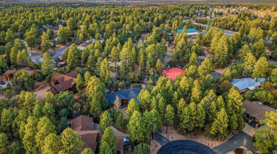 400NMadronLn-ShowLow-AZ-39