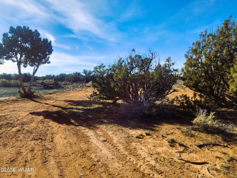 4726 Hay Hollow Road, Snowflake, Arizona 85937, ,Land,For Sale,Hay Hollow,259031