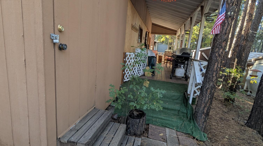 PXL_20251015_233805205