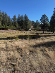 2 2057, Alpine, Arizona 85920, ,Land,For Sale,2057,259047