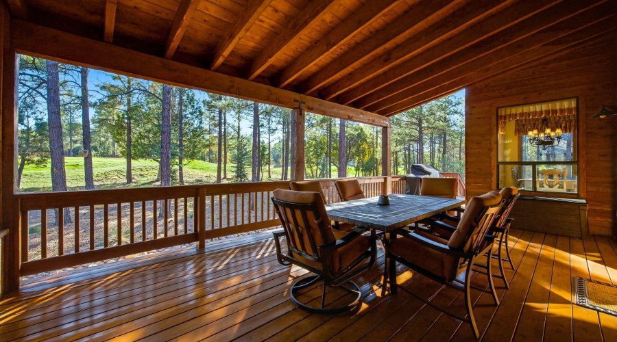 Covered Back Deck