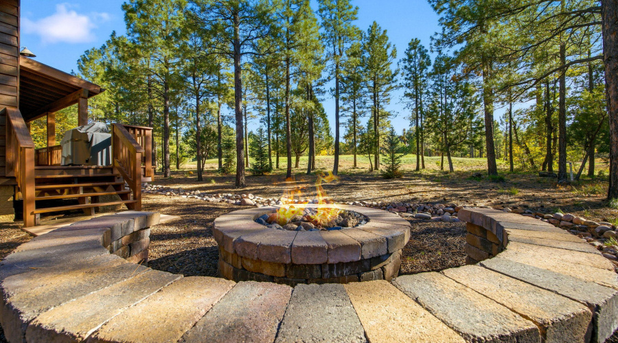Gas Fire Pit