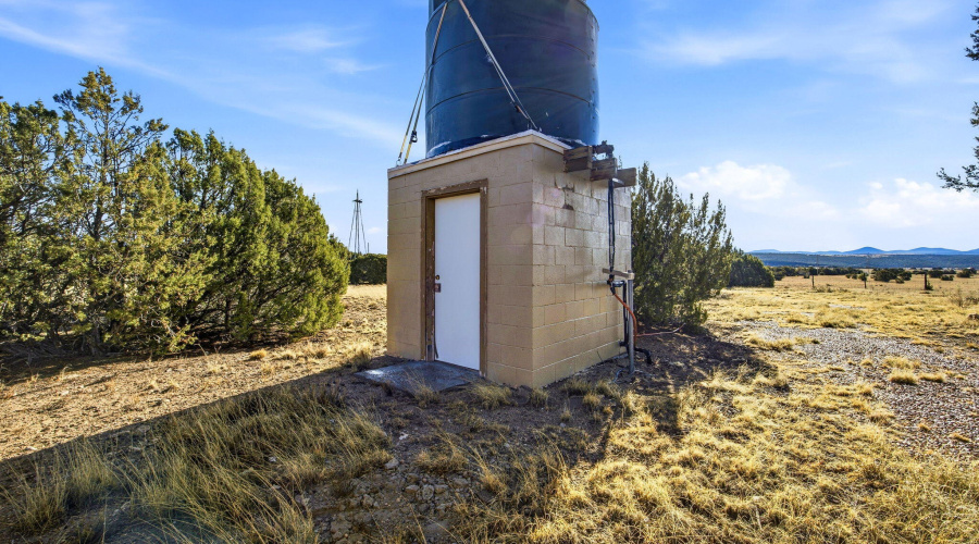 TBDGrantRd-ShowLow-AZ-17