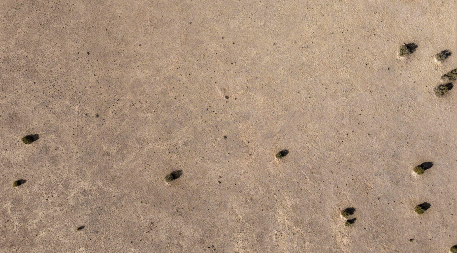 TBDGrantRd-ShowLow-AZ-32