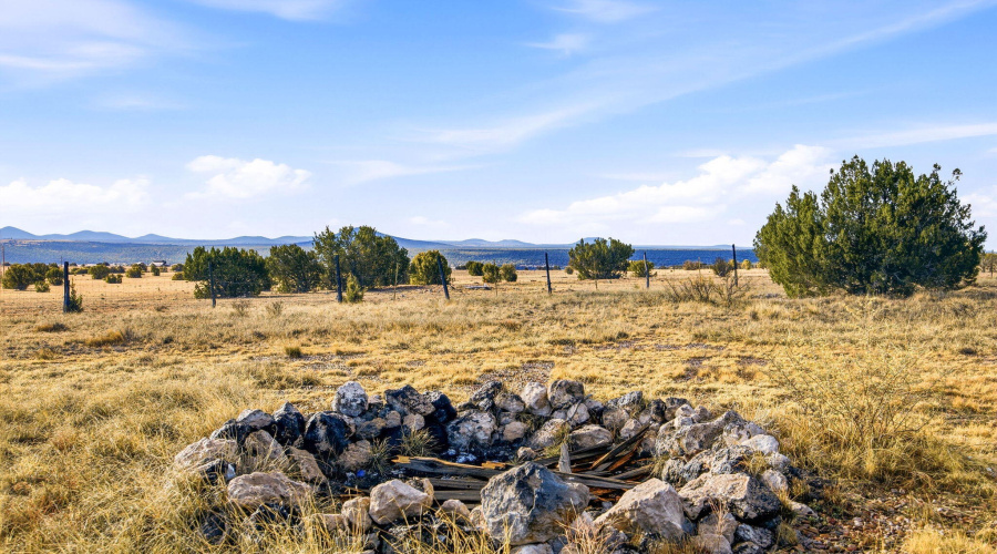 TBDGrantRd-ShowLow-AZ-5