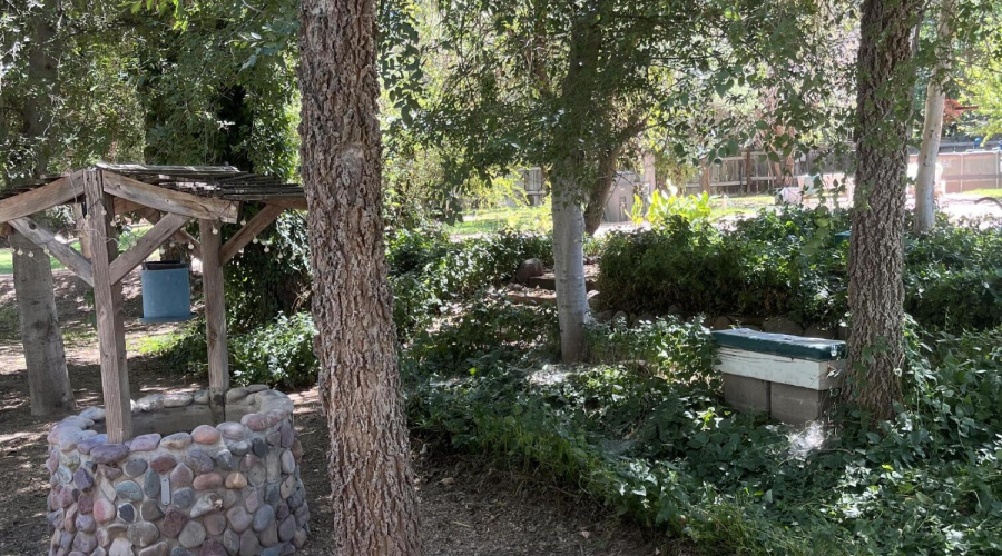 C995409B-ED29-46BB-95B8-A2EA1E0478DA