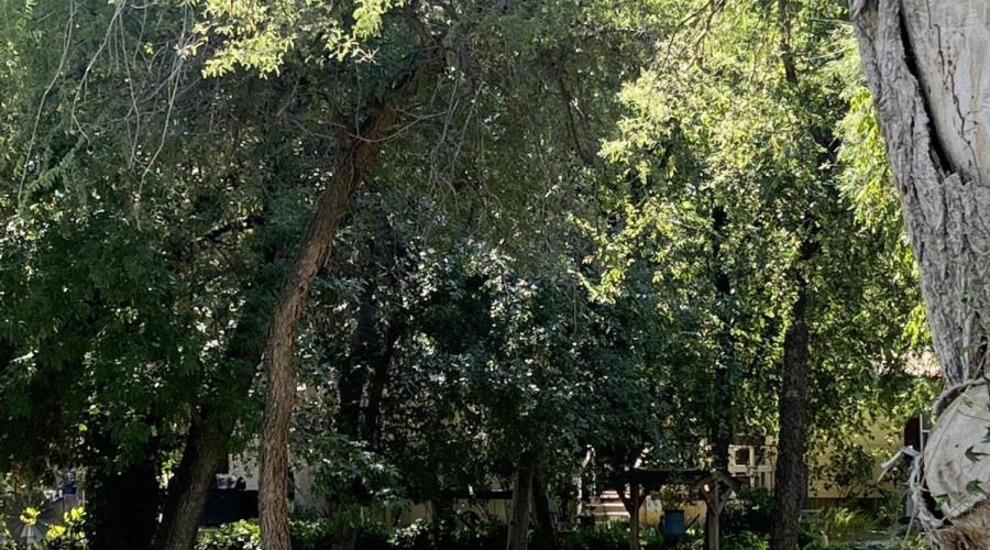 CAA5AF30-C133-4C7A-85DA-2BDCA6CF308E