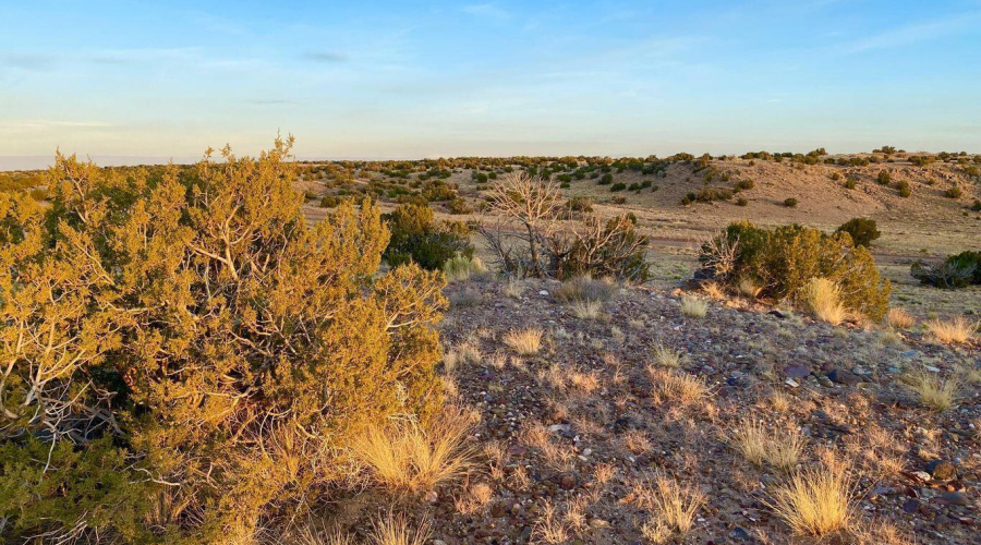 20250302230938107074000000-o