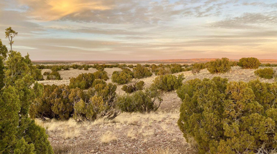 20250302092651916306000000-o