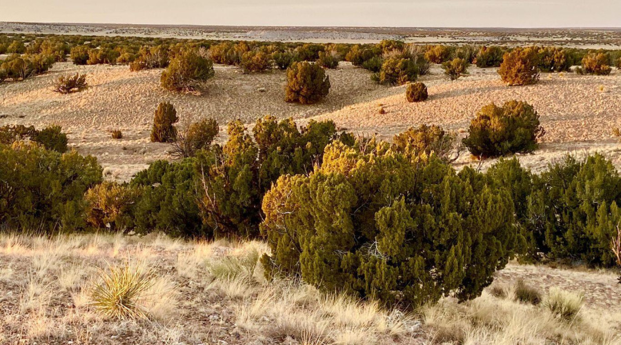 20250302092900395899000000-o