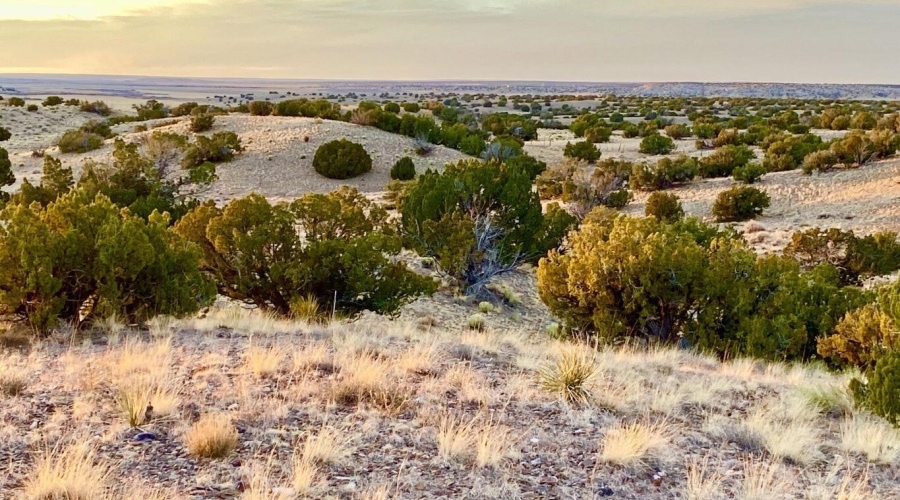 20250302093710126162000000-o