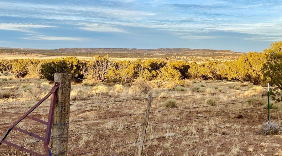 20250302234625791535000000-o