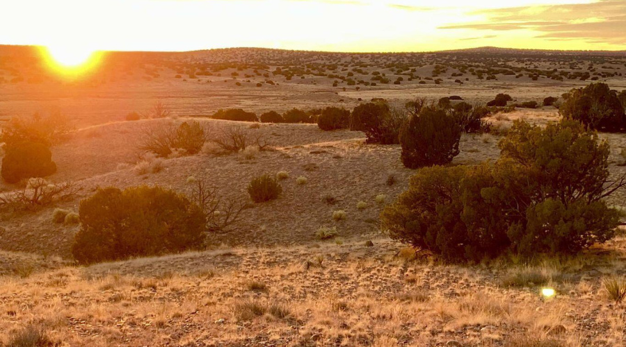 20250302093827840760000000-o