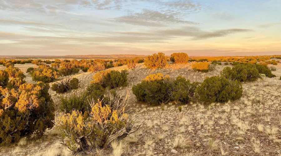 20250302094513504442000000-o