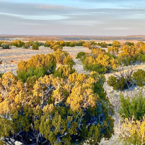 20250302094329694234000000-o