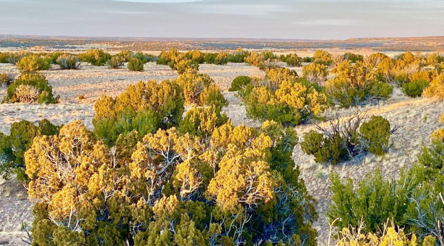 20250302094329694234000000-o