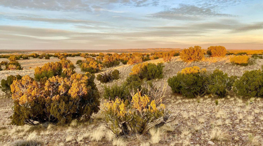 20250302230812417701000000-o